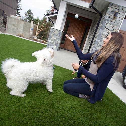 image of Pet friendly artificial grass for your furry friends available at SYNLawn Idaho