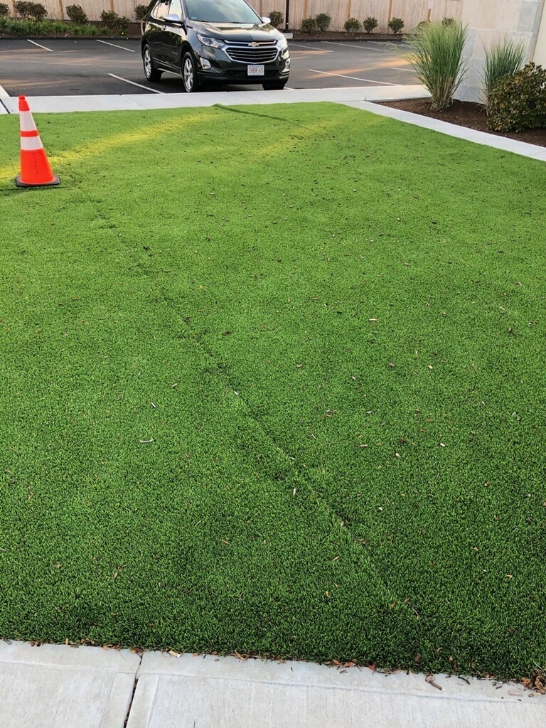 Artificial grass yard in Meridian Idaho