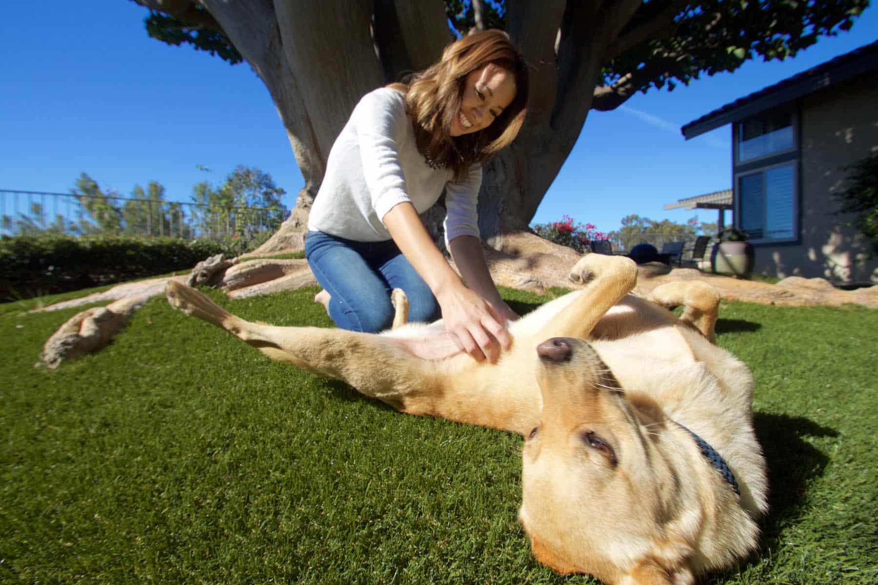 Pet turf installation in Boise Idaho