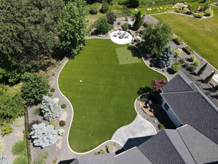 Eagle backyard